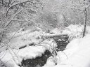 雪の山麓・川沿い　撮影日：２００７年１月７日　撮影：管理人