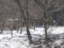 雪を残す山麓公園 撮影日：２００７年１月１４日 撮影：管理人