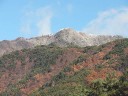 雪化粧の風越山の頂上付近　撮影日：２００８年１１月２０日　撮影：管理人
